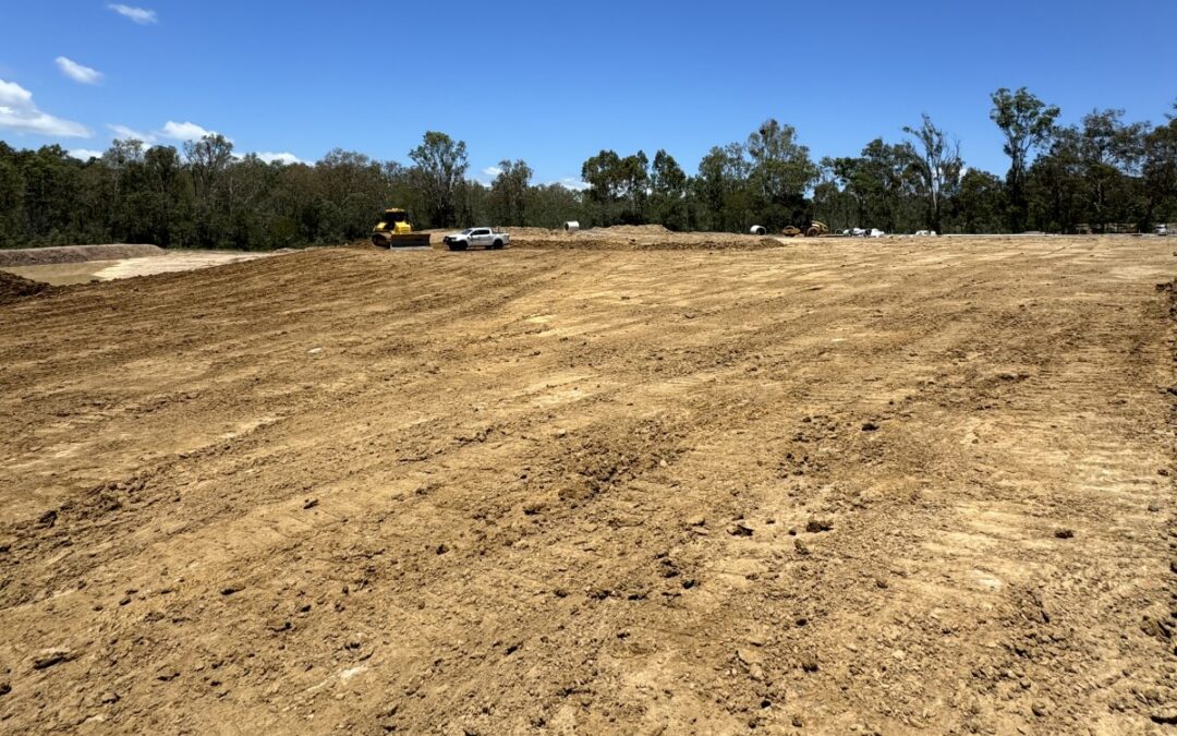 Sediment Basin Remediation